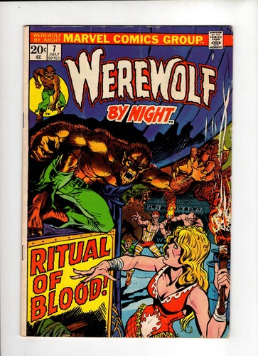 Werewolf night 7 - by,