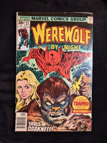 Werewolf night 40 - werewolf,